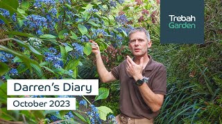 Early Autumn Colour  October 2023  Darrens Diary [upl. by Ahmad]