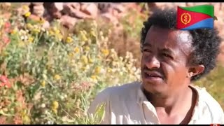 New Eritrean comedyMebrahtu Solomun and Rezene Beyene ● season 1 part 2 2022 [upl. by Licha]