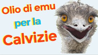 Come usare lolio di emu per favorire la crescita dei capelli e prevenire la caduta dei capelli [upl. by Enidaj]