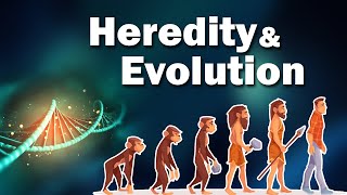 10TH Science 2Chapter No 1 HEREDITY AND EVOLUTIONEASY TRICK TO LEARN WHOLE CHAPTERBoard exam2024 [upl. by Atinihc709]