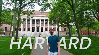 Harvard University Campus Tour  May 2021 [upl. by Valer356]