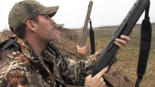 Specklebelly Goose Hunting on the Arkansas Grand Prairie [upl. by Irpac]