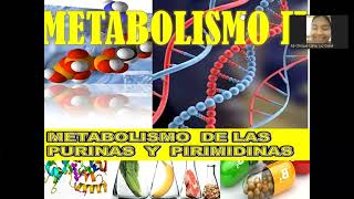 CLASE 3 DE METABOLISMO2 met de purinas y pirimidinas [upl. by Netnilc]