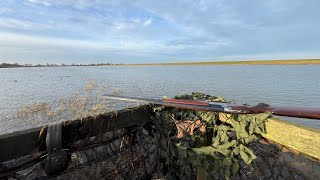 WILDFOWLING Ouse Washes  January 2024 [upl. by Leon]