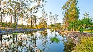 Genesis Estate Coomera  The Lifestyle [upl. by Haisej]