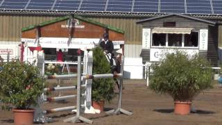 Prinz OldenburgGrabensprung gelding  2009 for sale [upl. by Jillene]