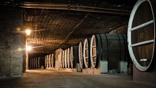 Криковские подвалы Кишинев Krikova Wine Cellars [upl. by Bee]