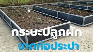 ไอเดียดี วิธีทำกระบะปลูกผักจากท่อประปา Building a Raised Garden Bed with steel pipe Farm Station [upl. by Almire]