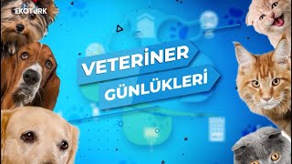 Veteriner Günlükleri  1Bölüm [upl. by Aralomo]