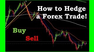 How to Hedge a Forex Trade to make money in both directions [upl. by Ronoc993]