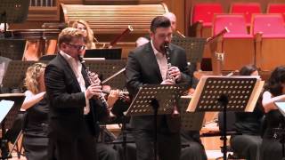 Wenzel FuchsampOrçun Civelek Franz Krommer Duo Concerto in Eflat major Op35 MvtI [upl. by Copeland]