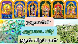 Arupadai Veedu in Tamil Six Abodes of Murugan முருகப் பெருமானின் அறுபடை வீடு கோவிலின் சிறப்புகள் [upl. by Jose]