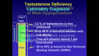 Hypogonadism in Pituitary Disease  Ronald Swerdloff MD [upl. by Ewolram]