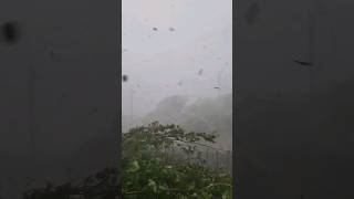 Aujourdhui dans ma ville La ChauxdeFonds une tornade de 217kmh beaucoup de dégâts suisse [upl. by Enelez]