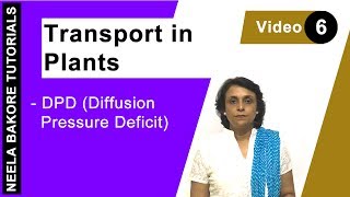 Transport in Plants  NEET  DPD Diffusion Pressure Deficit  Neela Bakore Tutorials [upl. by Nagear]