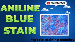 Aniline Blue Stain [upl. by Nwahshar]