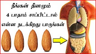 தினம் பாதாம் சாப்பிடுவதால் நிகழும் அதிசயங்கள்  Top Health Benefits of Almonds Badam [upl. by Anawd]