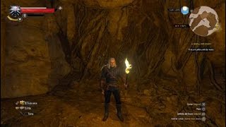 THE WITCHER 3 ARMADURA FELINA GRÃO MESTRE LOCALIZAÇÃO [upl. by Servetnick]