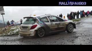 Best of German Rally Championship I DRM  Rallyaction 2016 [upl. by Comras781]