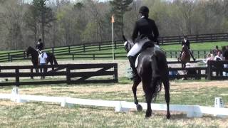 Lindsay Stucker amp Excalibur The Fork Horse Trials 2014 [upl. by Murdock]