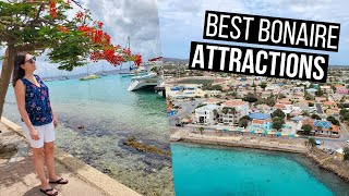 Bonaire Travel Guide  The Best Things to See and Do in Bonaire [upl. by Ardnekal]