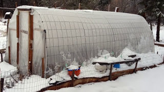 150 Greenhouse  Incredibly simple and sturdy [upl. by Flavian]