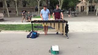 Improvisation on Marimba  Street Musicians [upl. by Ailices688]