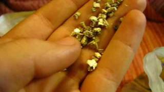 perlite vs vermiculite [upl. by Leia430]