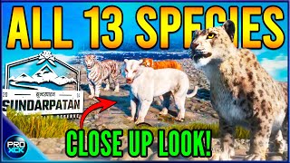 THEY KILLED JAXY  All Species Up Close amp Sundarpatan Release Date  theHunter Call of the Wild [upl. by Arbmik739]