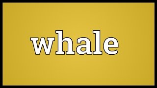 Whale Meaning [upl. by Hance266]