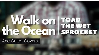 Toad the Wet Sprocket  Walk on the Ocean Guitar Cover [upl. by Sneed]