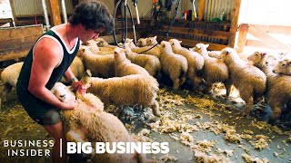 How NZ Farmers Shear 25000 Sheep In 10 Days  Big Business [upl. by Voltmer]