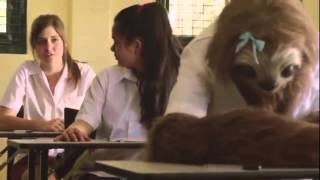 quotOne in five teenagersquot Stoner Sloth at school parody [upl. by Eiffub]