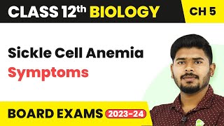 Sickle Cell Anemia Symptoms Principles of Inheritance amp Variation Class 12 Biology Ch 5 NCERTNEET [upl. by Genovera332]