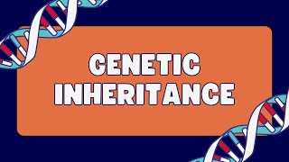 Pleiotropy Vs Epistasis Vs Polygenic inheritance [upl. by Tabbatha874]