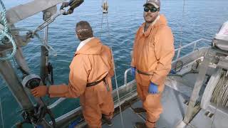 Halibut Longlining at the Geeses  Kodiak Alaska 2023 Fishing Season [upl. by Aicelf227]