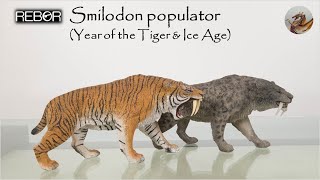 198 Rebor Smilodon Populator Year of the Tiger amp Ice Age [upl. by Ppik781]