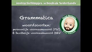 Grammatica woordsoorten  persoonlijk voornaamwoord PSV en bezittelijk voornaamwoord BZV [upl. by Gio]