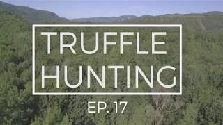 Truffle hunting Croatia [upl. by Waiter146]