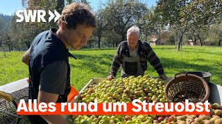 Das Beste von der Streuobstwiese Feine Sachen mit Apfel Birne und Quitte  SWR Treffpunkt [upl. by Elohc611]