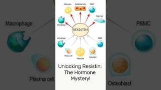 Unlocking Resistin The Hormone Mystery [upl. by Namhcan46]