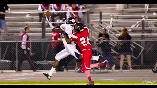 2015 WR Auden Tate 2013 season highlight remix [upl. by Odlopoel346]