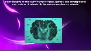 What is Behavioral Neuroscience [upl. by Rratsal750]