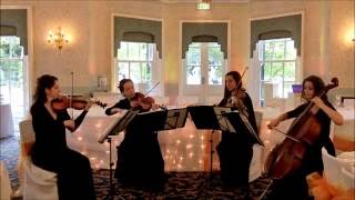 Wedding String Quartet  Canon in D Best Version Johann Pachelbel [upl. by Klinges607]