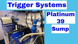 Aquarium Sump Trigger Systems Platinum Sump Overview Reef Tank Equipment Video Series [upl. by Ailed]