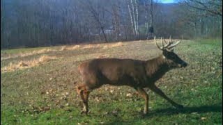 Pa Rifle Deer Season 2022 Pennsylvania Day 1 amp 2 [upl. by Ard]