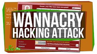 Why Was the WannaCry Attack Such a Big Deal [upl. by Aerdnua976]