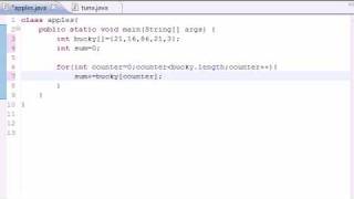 Java Programming Tutorial  29  Summing Elements of Arrays [upl. by Eves]