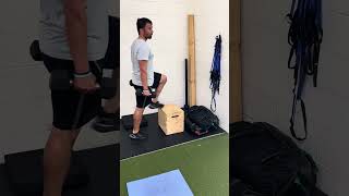 Dumbbell Front Foot Elevated Calf Raise [upl. by Yzzo42]