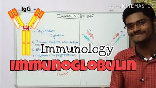 Immunoglobulin Structure MechanismTypes Experiments FunctionTamil  Immunology ThiNK Biology [upl. by Mccully]